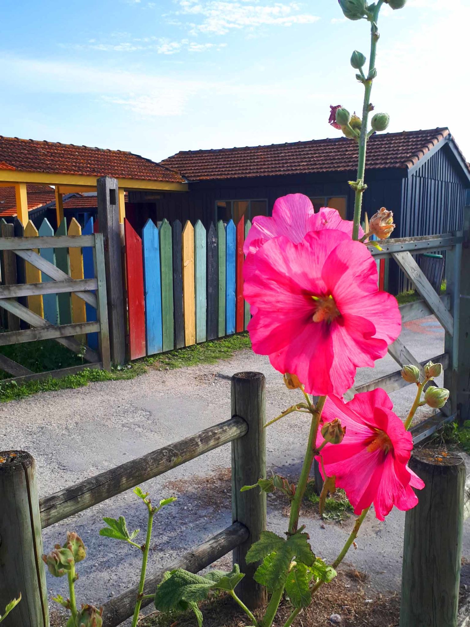 gîte meschers sur gironde proche en Charente Maritime